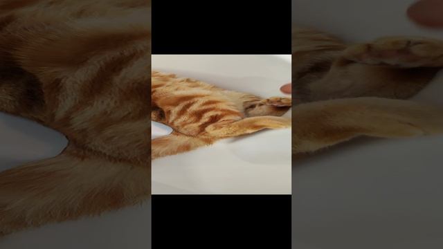 Если лежу, значит удобно.