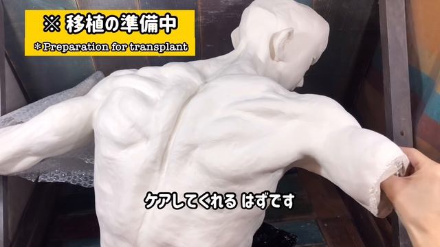 轟焦凍【等身大】100均石粉粘土でフィギュア作ってみた 【ヒロアカ】[Life-sized]Shoto Todoroki [MHA] 1$clay Sculpture