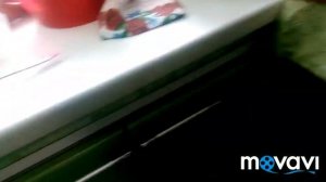 Обзор продуктов-купленных на рынке.Масло подсолнечное с запахом детства.