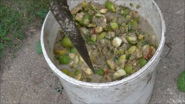 бюджетное кормление,свиней вьетнамских мой опыт смотреть онлайн