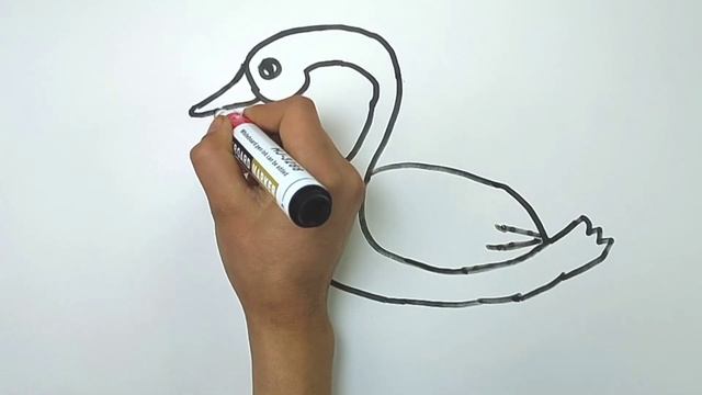 How to draw a swan | Как нарисовать лебедя  | oqqush rasmini chizish | сурет салып Draw a picture