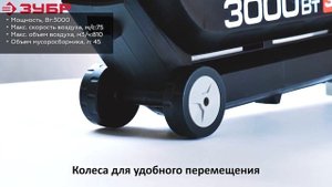 Воздуходувка ЗУБР ЗПСЭ-3000