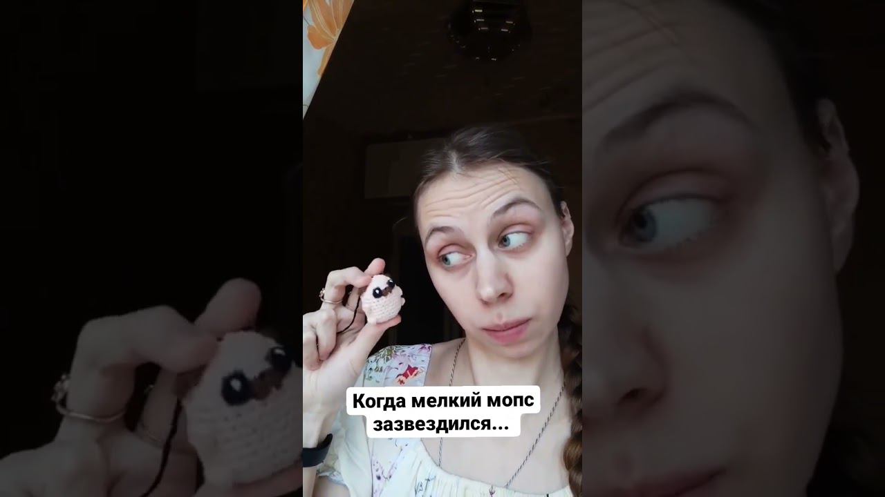 #мопс #вязаниекрючком #амигуруми #игрушкакрючком #юмор