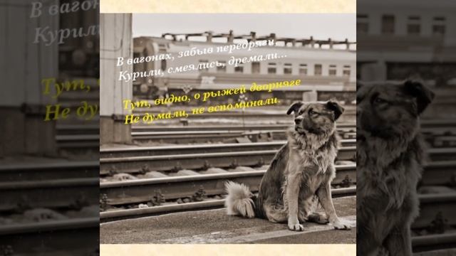 Асадов - Стихи о рыжей дворняге смотреть онлайн