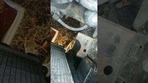 Інструкція: як замінити антифриз в автомобілі Пежо 307.