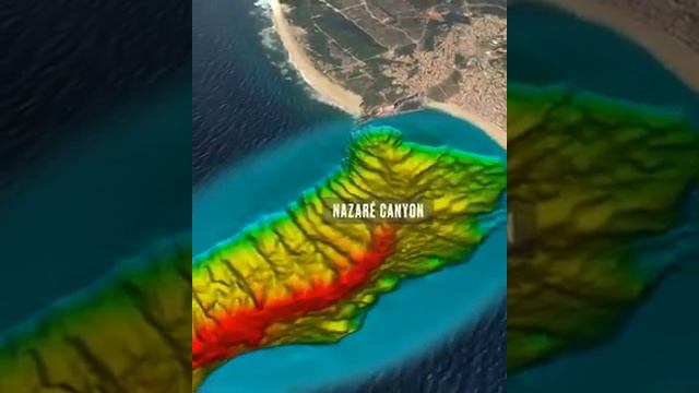 Nazaré Generate Wave Portugal