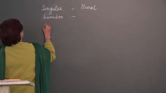 Singular and Plural Nouns - Definition, Examples and Exercises Part 3 - English Grammar ✅