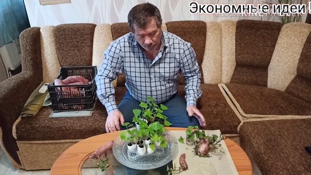 Пришла весна !Будем сажать !! Батат !! смотреть онлайн