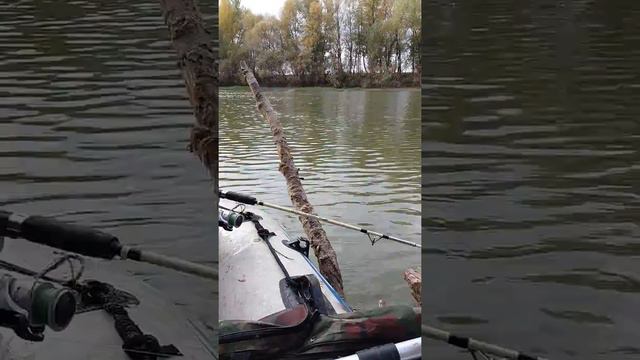 Рыбалка на Иртыше смотреть онлайн