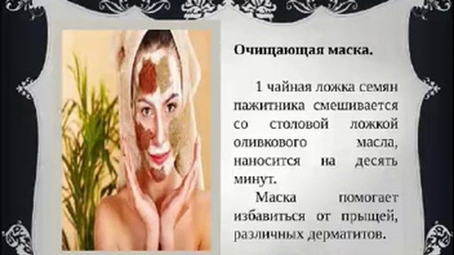 Шамбала - экзотическая специя смотреть онлайн