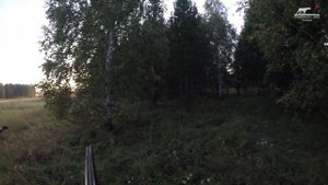 ОХОТА с молодой ЛЕГАВОЙ в августе 2022, на СРЕДНЕМ УРАЛЕ.