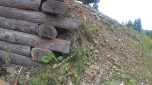 Сколько и какие дрова нужны для самовара Магарыч Турист М