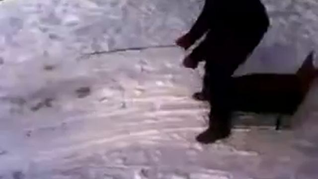 Epic Fail / Смешное падение / Зима 2016 смотреть онлайн