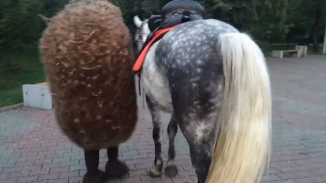 Ёжик в тумане и Лошадка смотреть онлайн