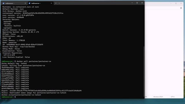 Docker pull in command line смотреть онлайн