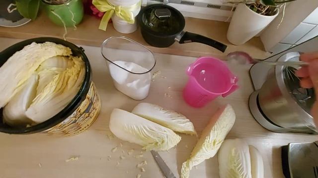 Кимчи или Чумча