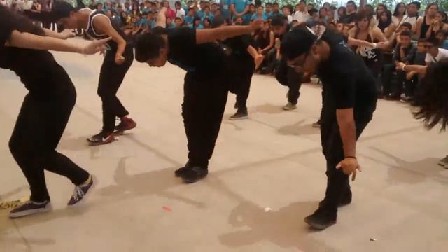 Omega dance chihuahua смотреть онлайн