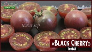 Томат Black Cherry. Характеристики сорта, отзывы. Он же Вишня чёрная, Блэк черри, Чёрный черри