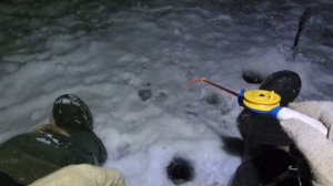 В ночь за ротаном, зимняя рыбалка