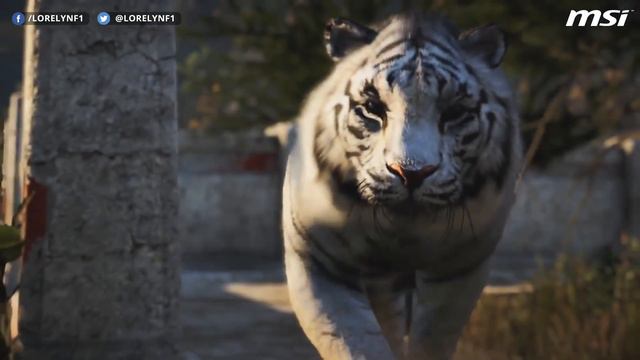 MSI Promo and Free Game Copy / Far Cry 4 Review (60FPS Video) смотреть онлайн