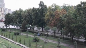 Харьков вырубают!!! Кто даёт указания рубить деревья в Харькове?!