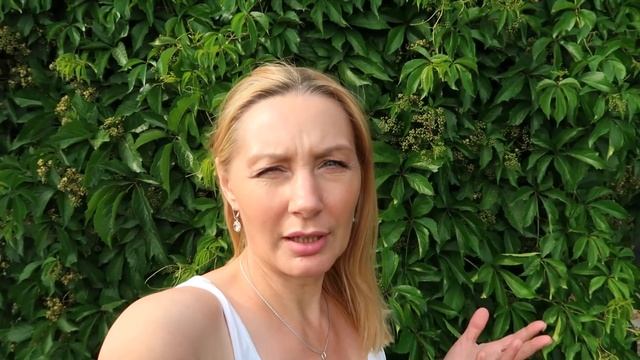 ВЛОГ/МОЙ ДЕНЬ/КУПИЛИ ВЕЩИ ДЛЯ МИШИ/ФИКС ПРАЙС//МОИ ОГУРЦЫ/ЖИЗНЬ ЖЕНЩИНЫ 45+/КАПЛИ КЛАРАНС смотреть онлайн