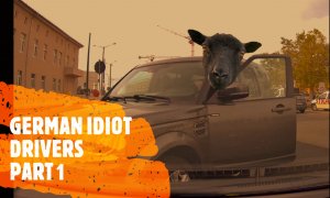 German Idiot Drivers 1