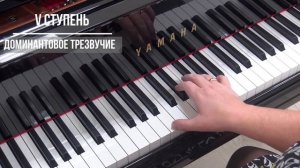 Морозова Е.Г. 4 класс. Тональности Ми мажор, до# минор