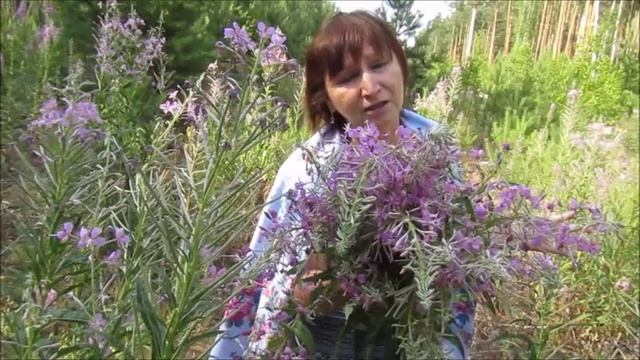 Пиалан улам. Аркадий Букетов.

Муза тиде усталык негыз. Музам тудо йӧратыме эҥертышлан шотлен.