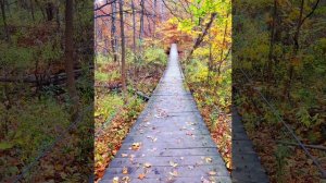 Прославим Бога одной семьёю. Христианская песня: Кто любит Господа.