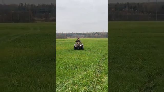 Анатолий цой смотреть онлайн