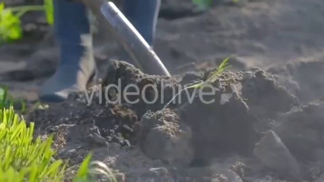 Видеоролик о раздельном сборе мусора.