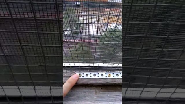 Пример сетки-антикошки своими руками на деревянные рамы