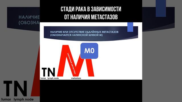 Стадии рака в зависимости от наличия метастазов #диагностика #метастазы #онкологияпобедима #опухоли