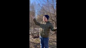 Весна Ахундов Матвей.mp4