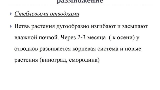 Презентация  Тема 3 Размножение растений