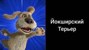 Какая порода твоей собаки? | порода твоей собаки: