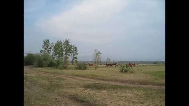 Кони вернулись (26.06.2017) смотреть онлайн