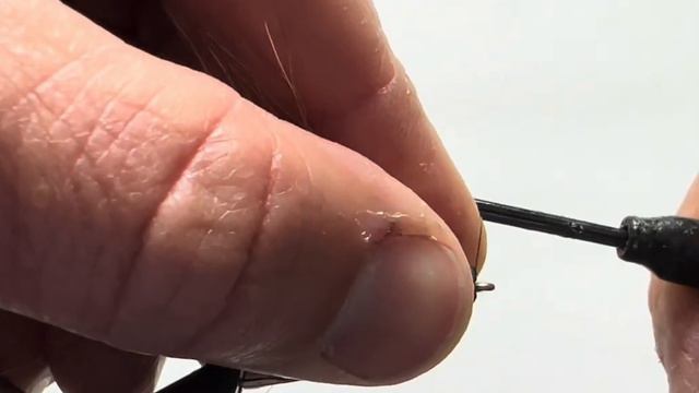 2024 Cicada fly pattern for brood Xlll & XlX. Super easy!
