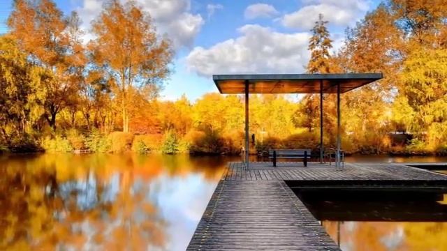 Краски осени 2. Наполняем себя позитивом, красотой осенней природы. смотреть онлайн