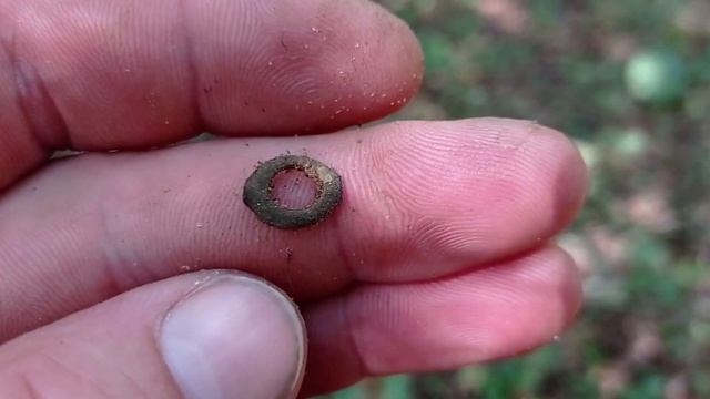 Вдоль Старинного Тракта. смотреть онлайн