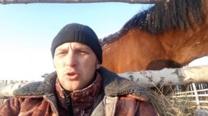 Азы коневодства