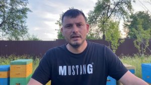 Пчелы висят бородой на прельотной доске что с ними?))