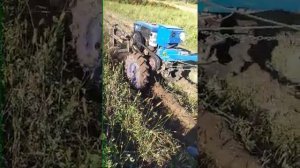 Косим ботву картоплі мотоблоком