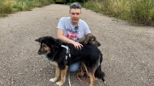 Что случилось, усы? Щенок на улице