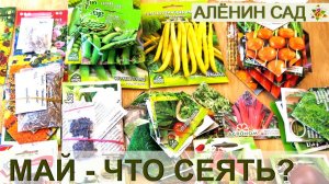МАЙ что сеять в мае на рассаду, в теплицу и на грядки