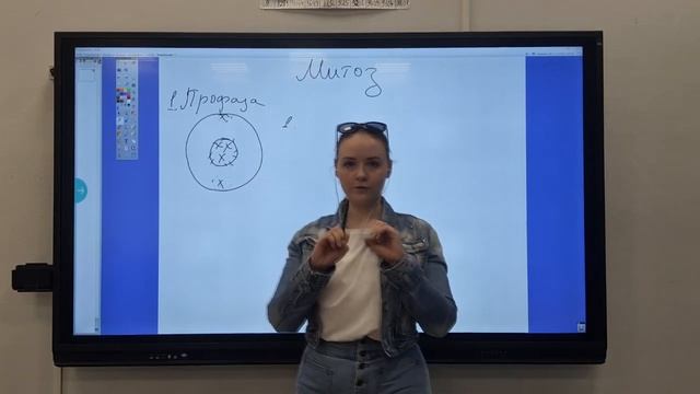 "Клонирование клетки" или Митоз.