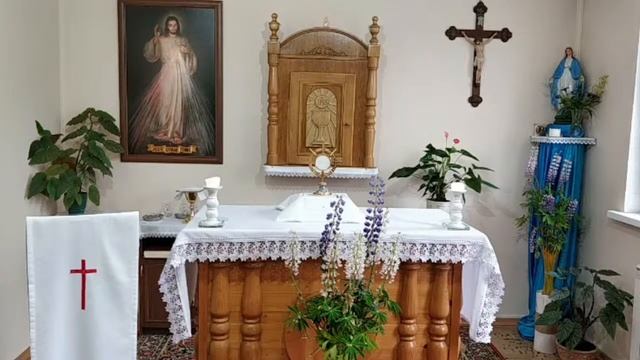 ЧЕТВЕРГ (22.06.2023). Венчик Божьему Милосердию. Святой Розарий смотреть онлайн