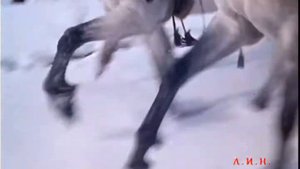 гр  Дилижанс  Живёт моя отрада