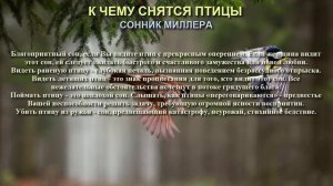 К чему снятся птицы. Сонник Миллера. Толкование снов.